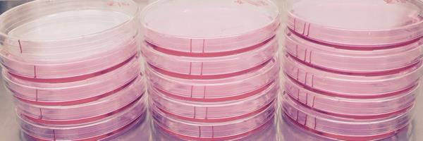 thebrookenapier Profile Banner