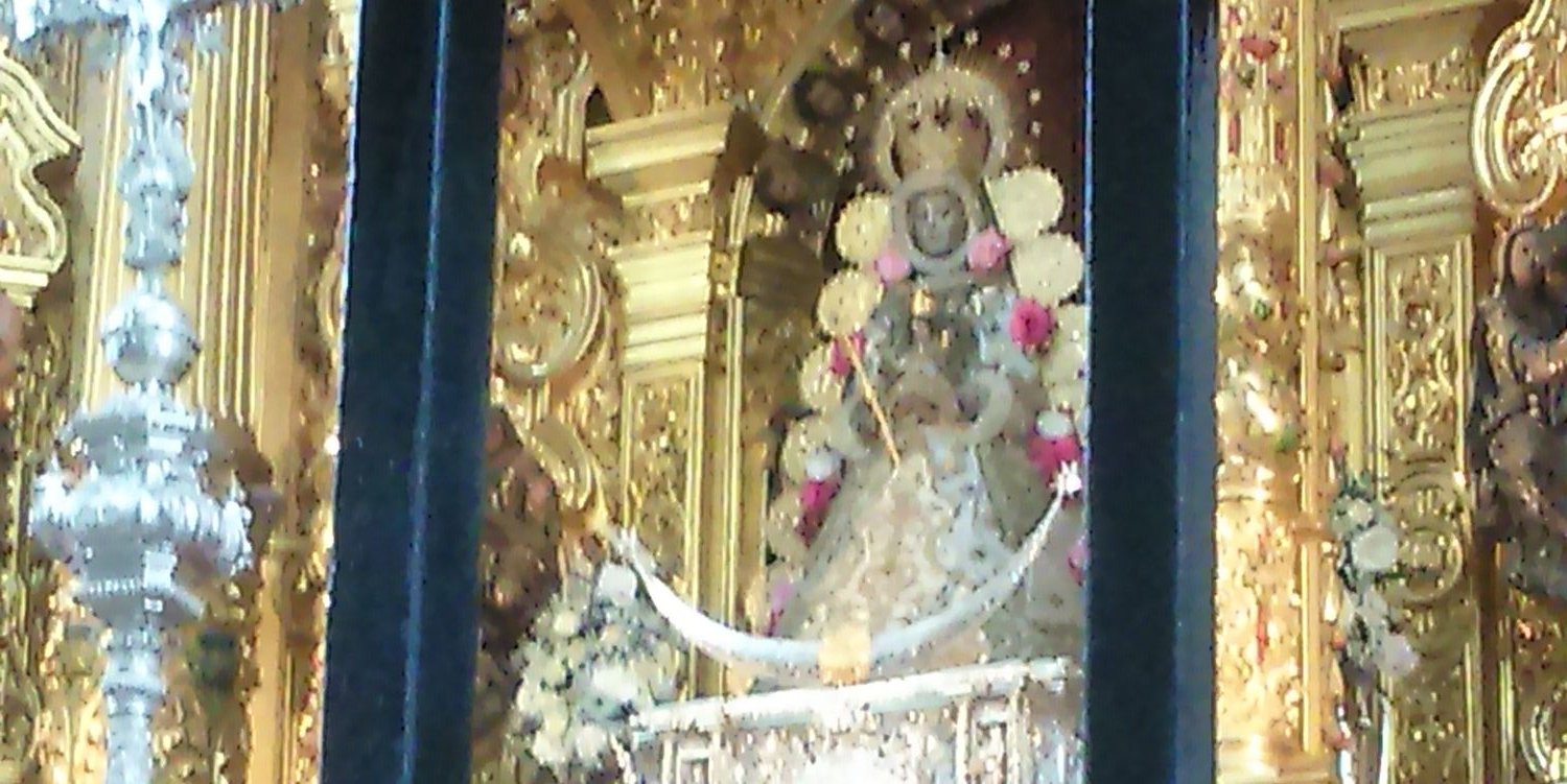 antonio13124653's profile banner image