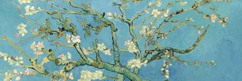 Jennifer Algie banner