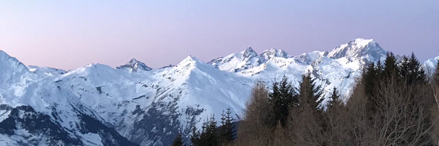 Annick LE BER banner