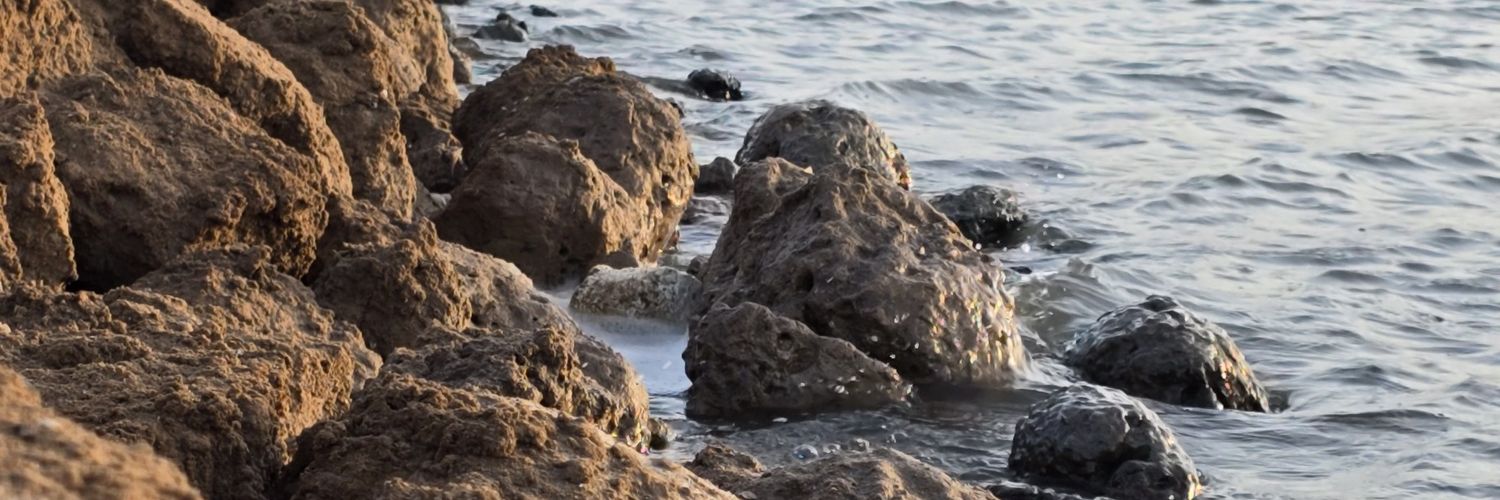 الفقير إلى الله ¦ عُ ن banner