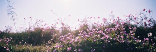 GoonzalezMimi's profile banner image