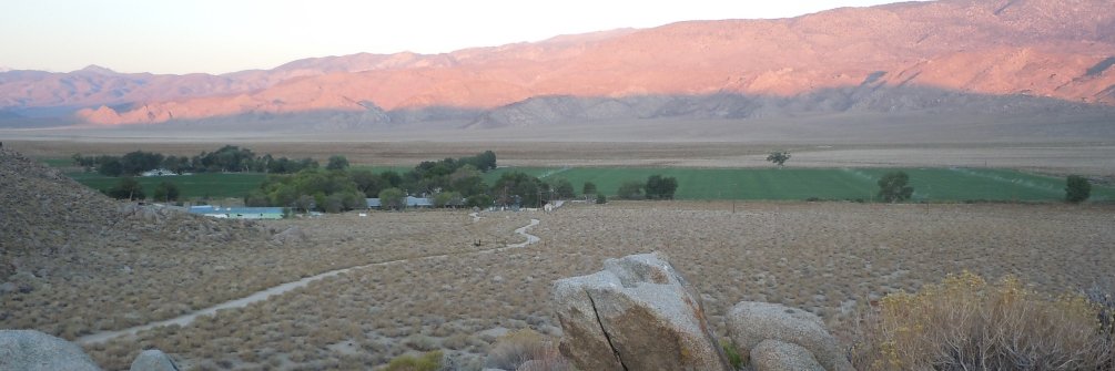 William A. Masters banner