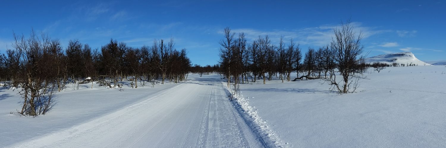 Ludvig_Remb's profile banner image