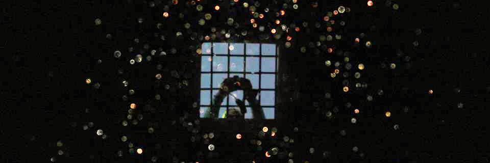 Barbara Rizzo banner