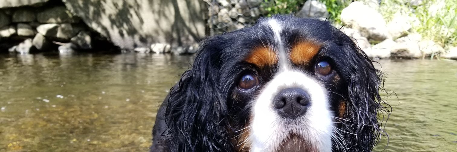 sjralph_'s profile banner image