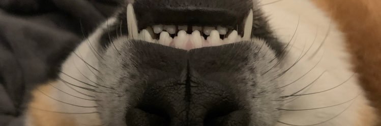 Fgn_57's profile banner image