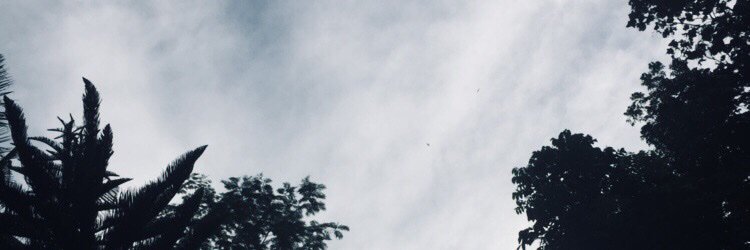 Destianti_S's profile banner image