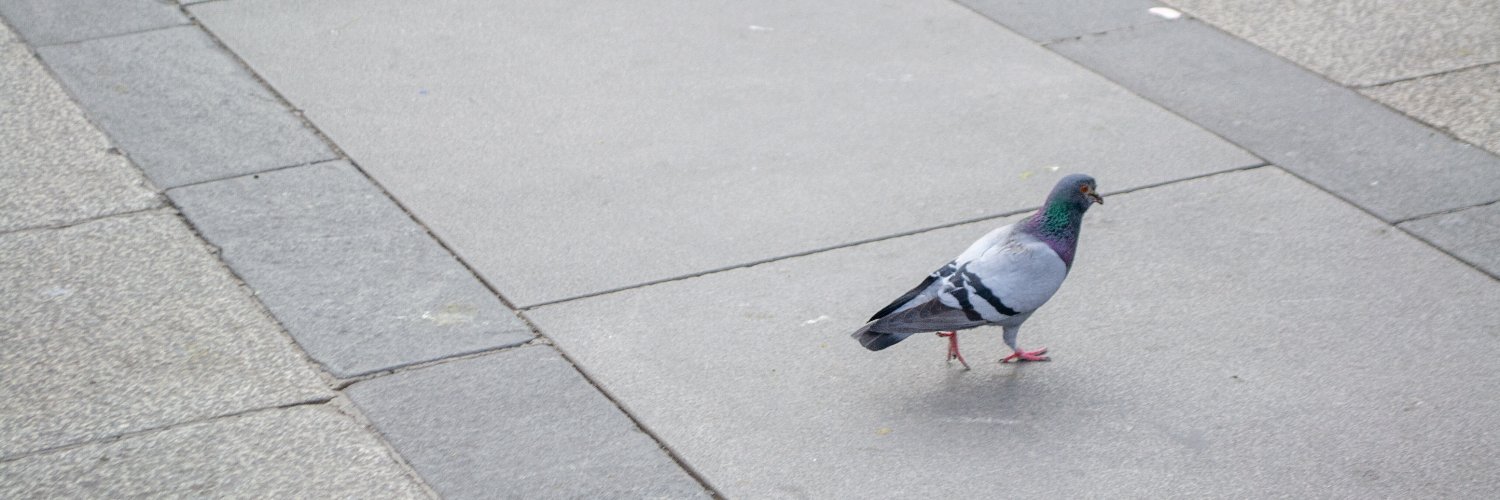 ChlodAlejandro's profile banner image