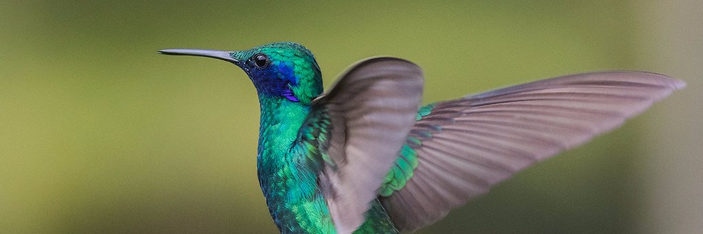 atSilvy's profile banner image