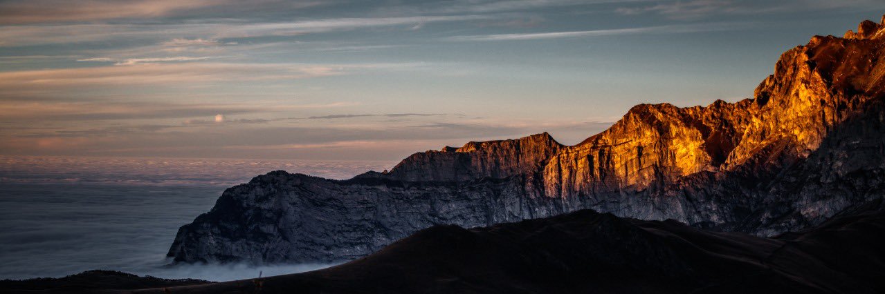 Андрей Вишневский banner