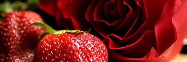 CDanielCasares's profile banner image