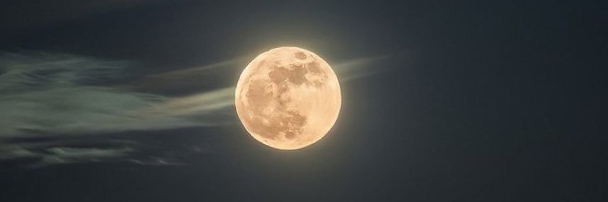 _o00o76's profile banner image