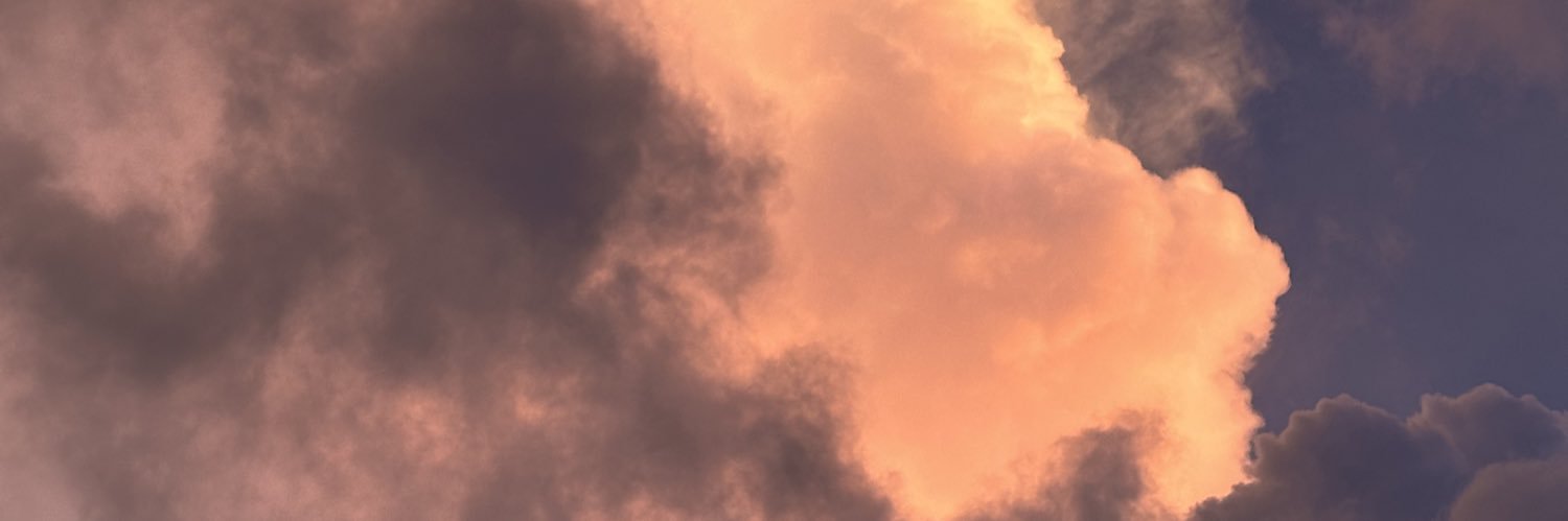 tleech_'s profile banner image