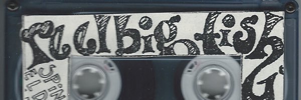 Reel Big Fish banner