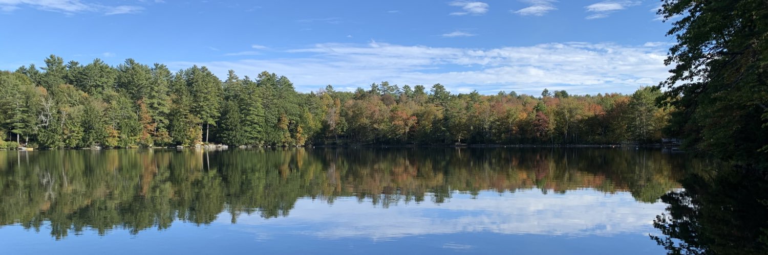 Michael Cauchi banner