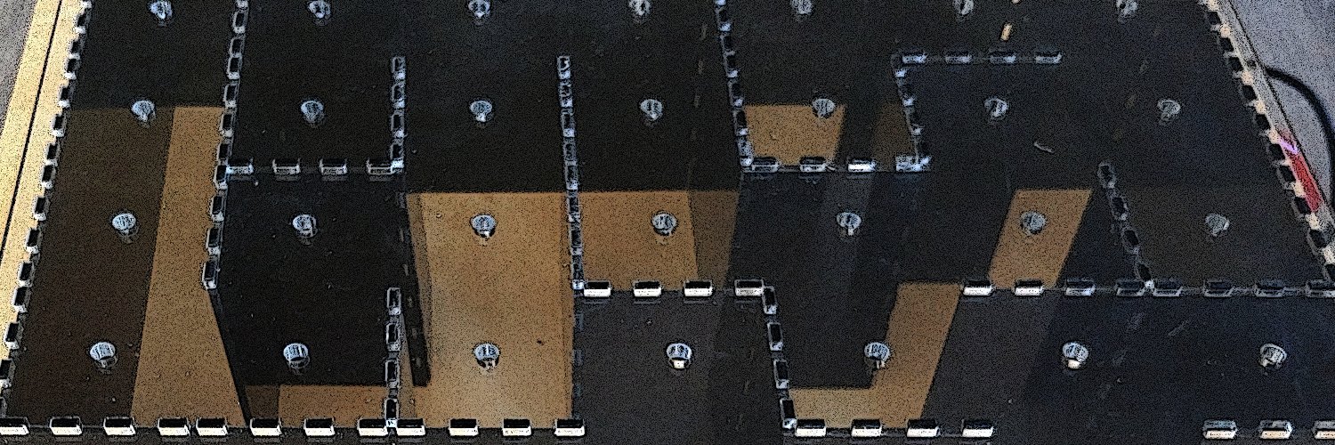 Leo Molina banner