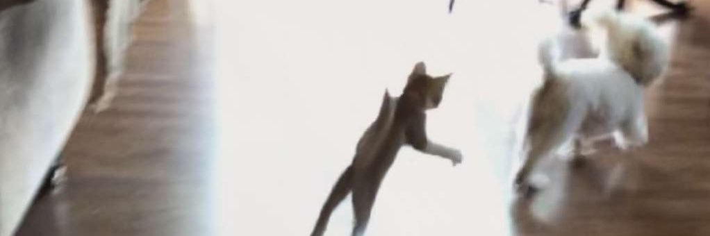 marthaaang's profile banner image