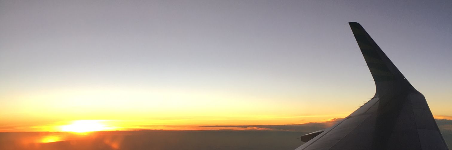 TiniKirei's profile banner image