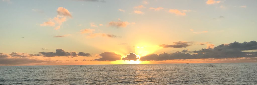AnnaE_96's profile banner image