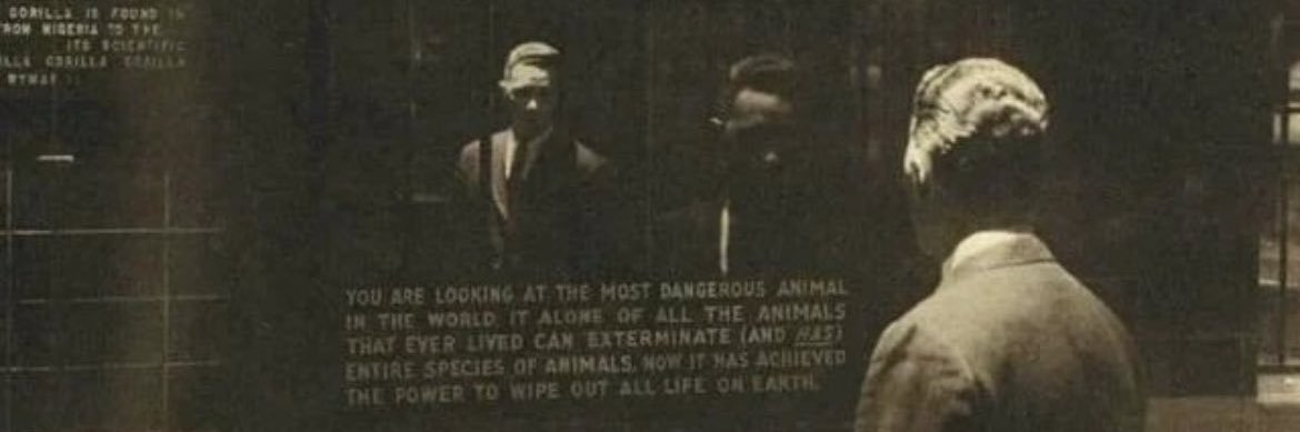 DomeFlame's profile banner image