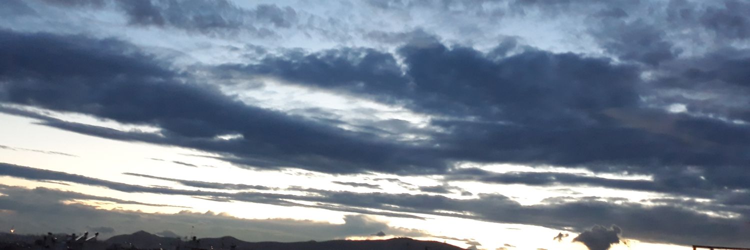 irrequietus's profile banner image