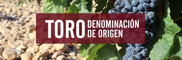 VinodeToro Profile Banner