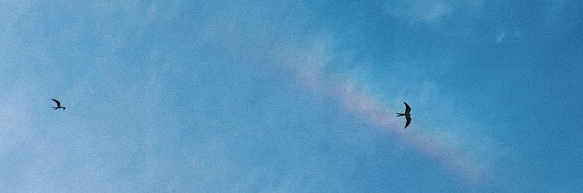 melmelbee_'s profile banner image