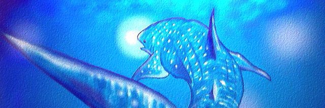 pxi06671's profile banner image