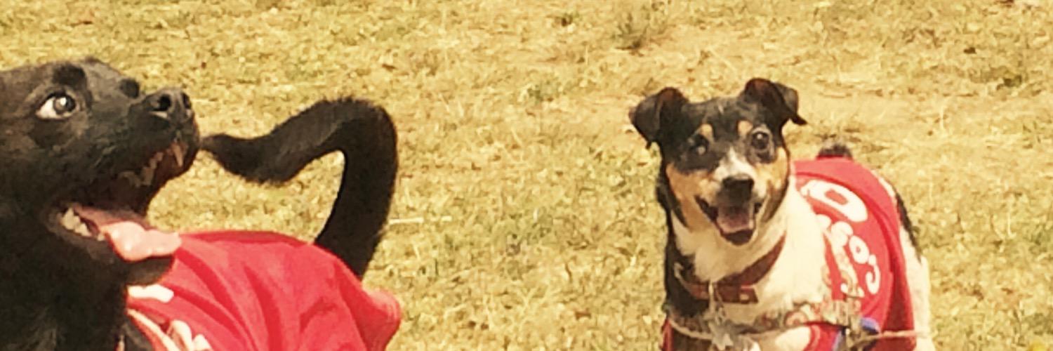 barbara2603's profile banner image