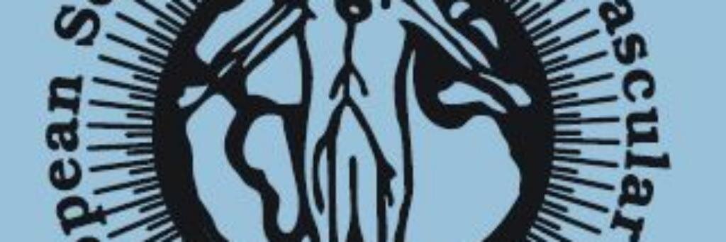 ESCVS1's profile banner image