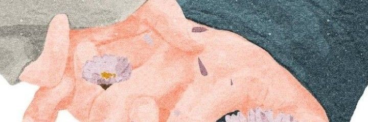 mysinflower's profile banner image