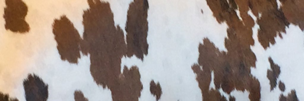 MBezamat's profile banner image