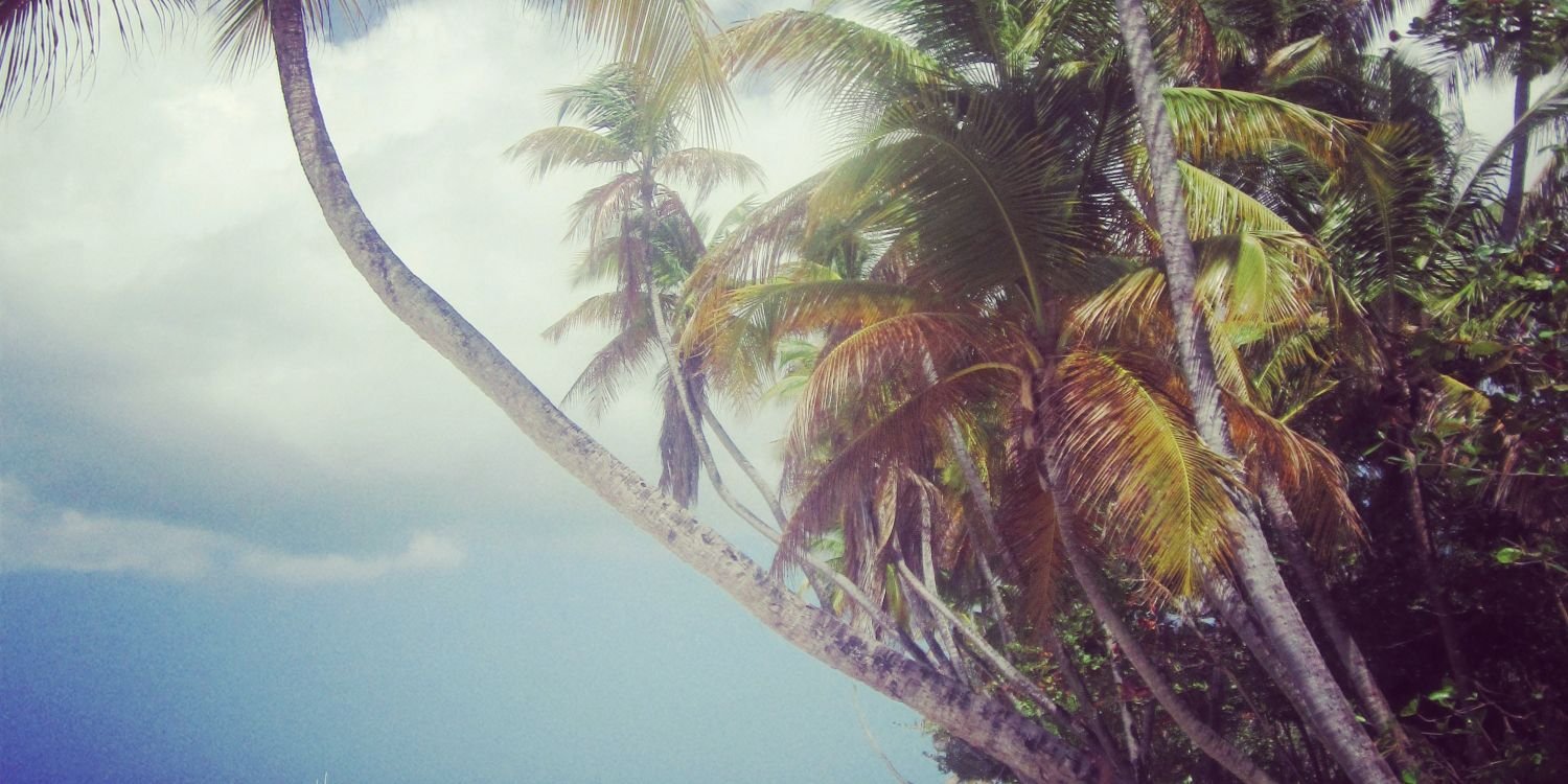 IamAmy_a's profile banner image