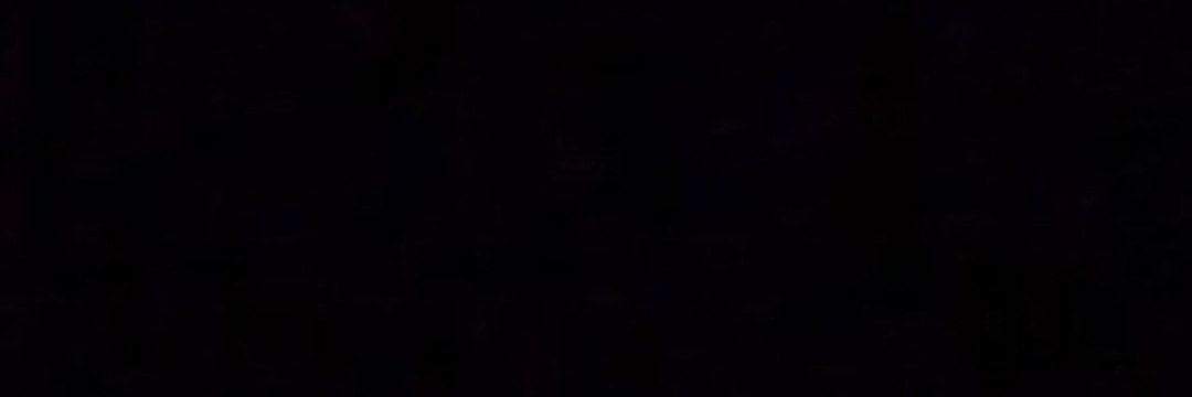 harryflorals's profile banner image