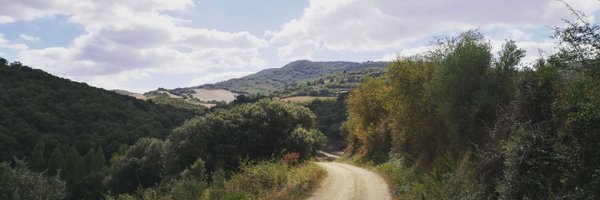 cormicaneoghan Profile Banner
