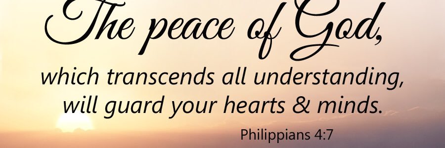 NaTonya Holmes banner