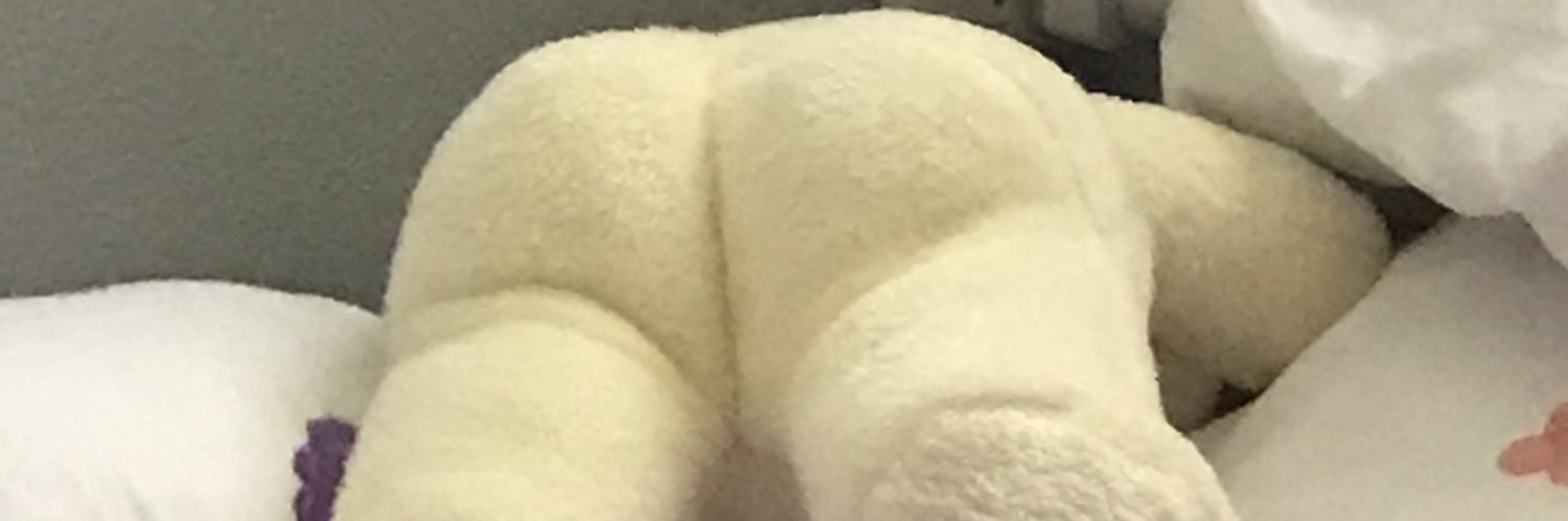 ขี้เกียจตัวเป็นขน🐷 banner
