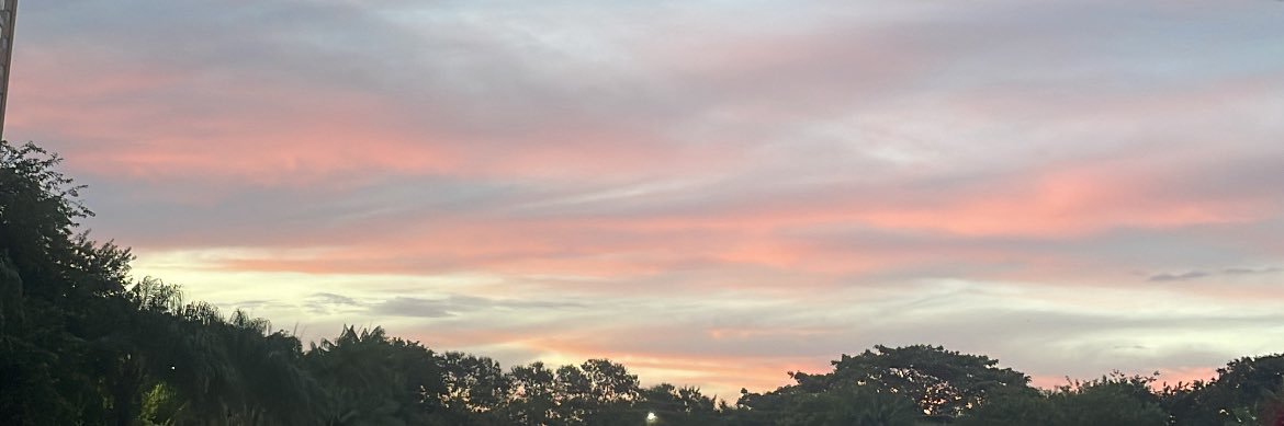 maryanna_e's profile banner image