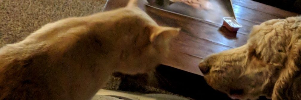 TuckerHarner's profile banner image