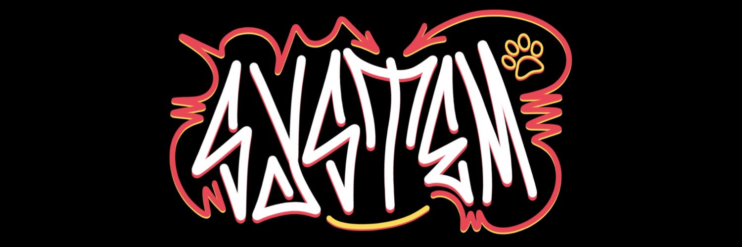 system 🇳🇿 code: “record” banner