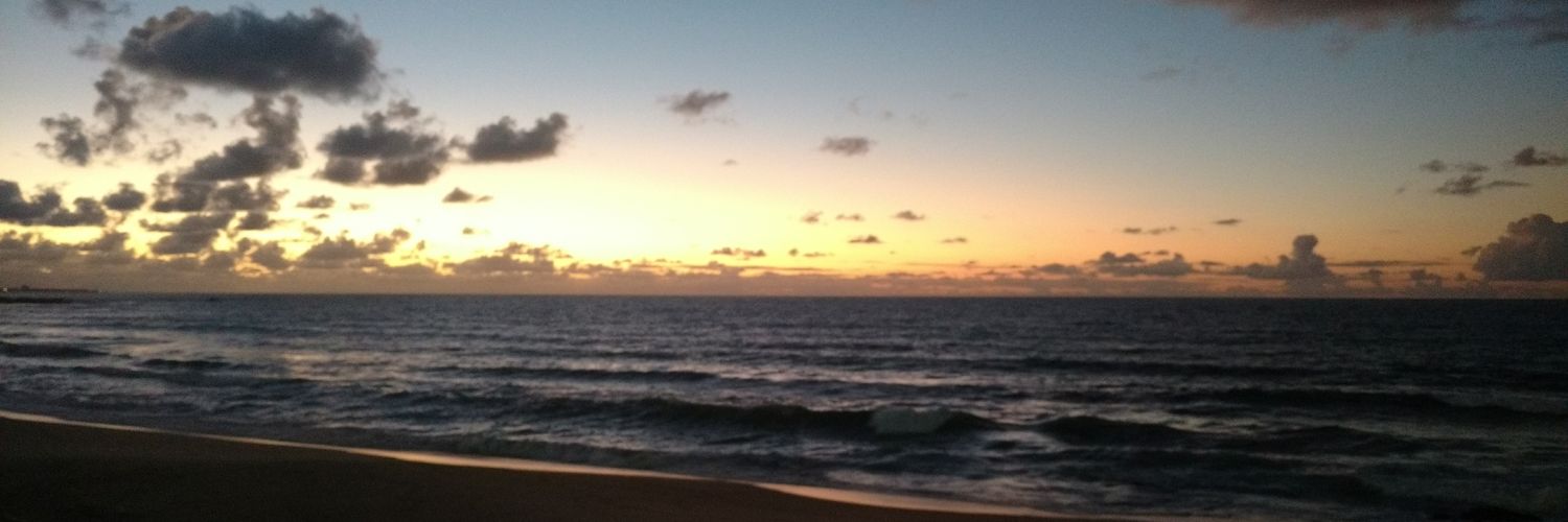davileau's profile banner image