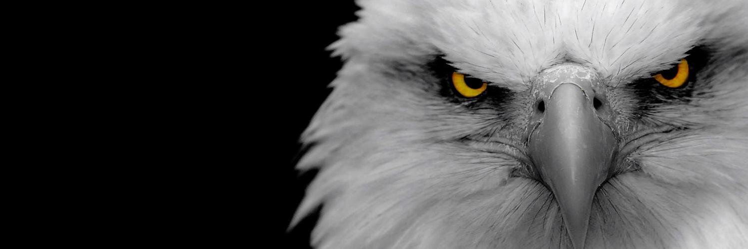 SSercanBulut's profile banner image