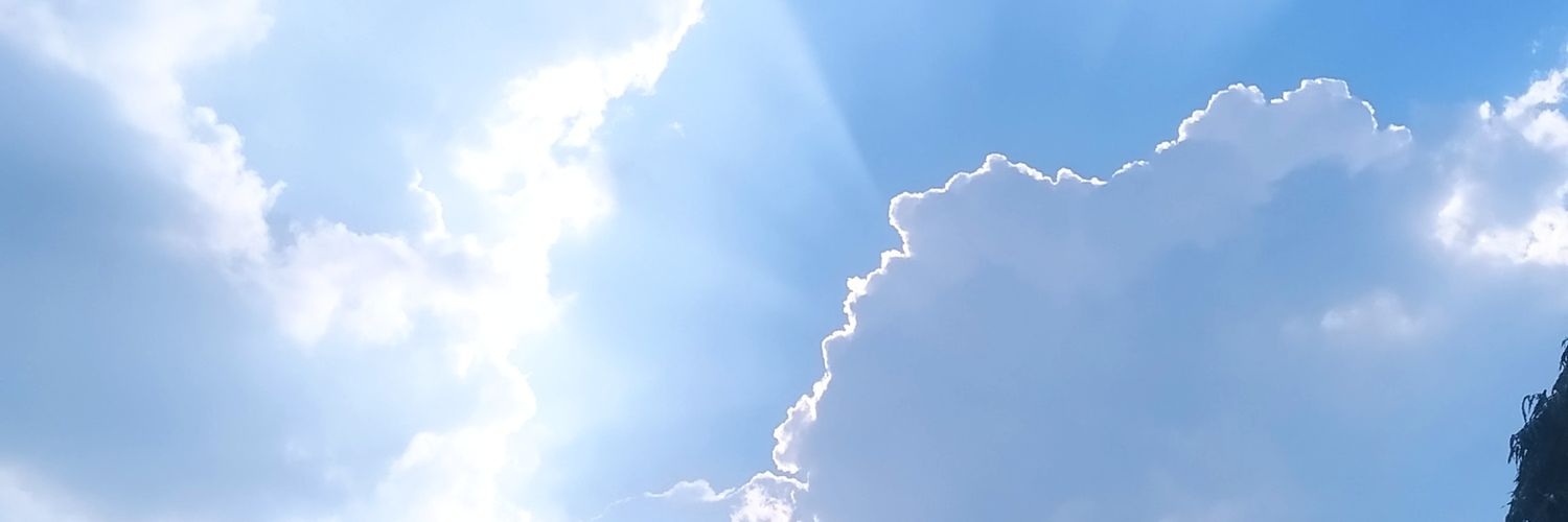 xsandy9's profile banner image