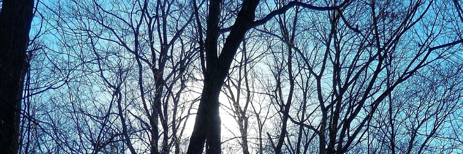 MollyCycles's profile banner image