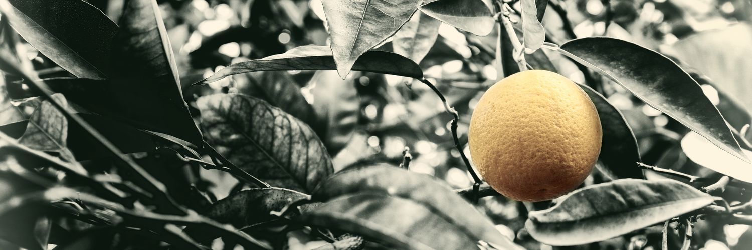 Almu275's profile banner image