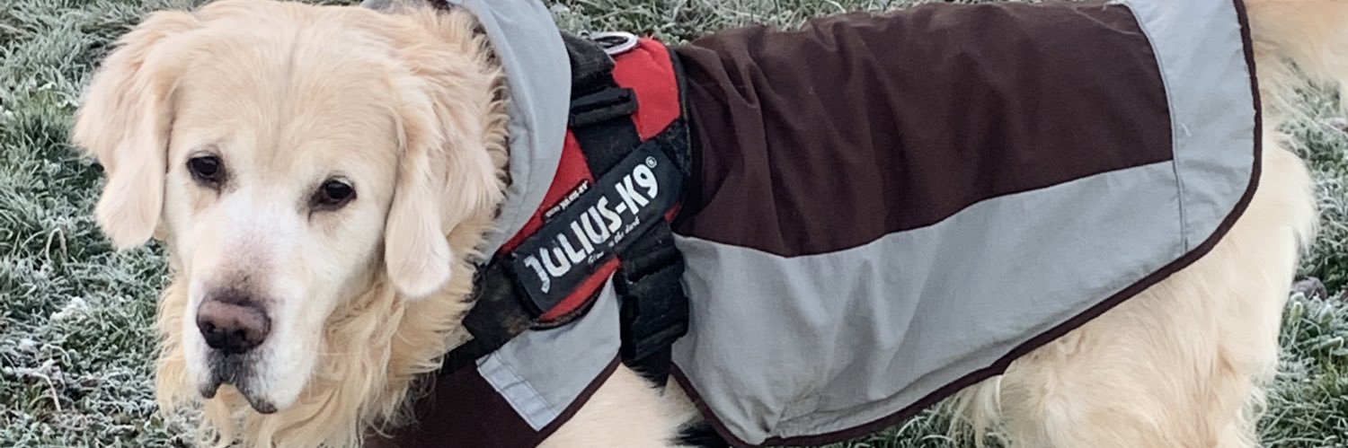 divinaperez_7's profile banner image