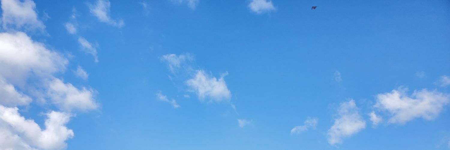 vip_vi_'s profile banner image