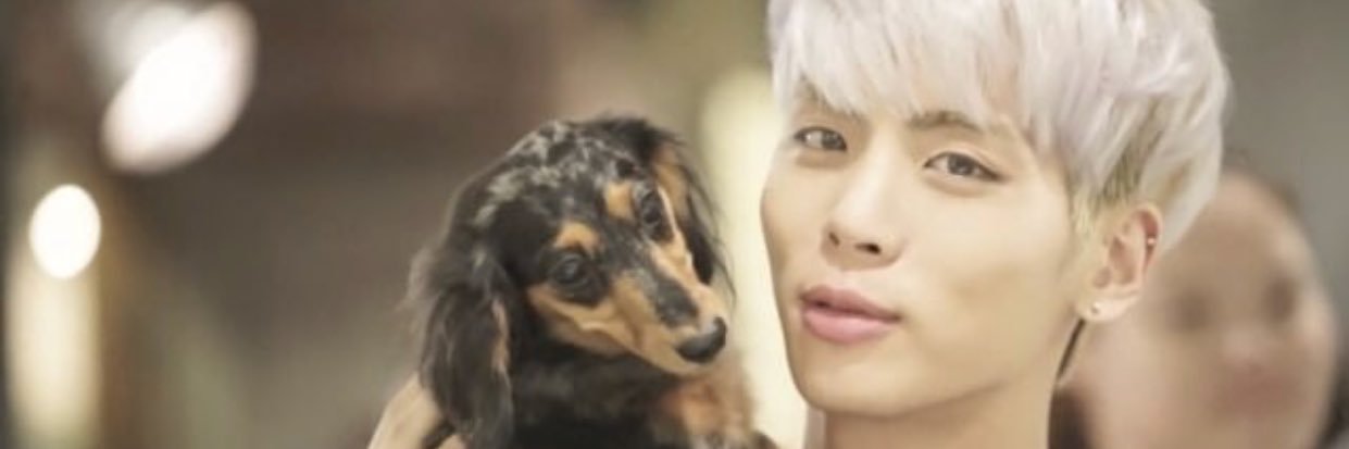 _noy1995's profile banner image