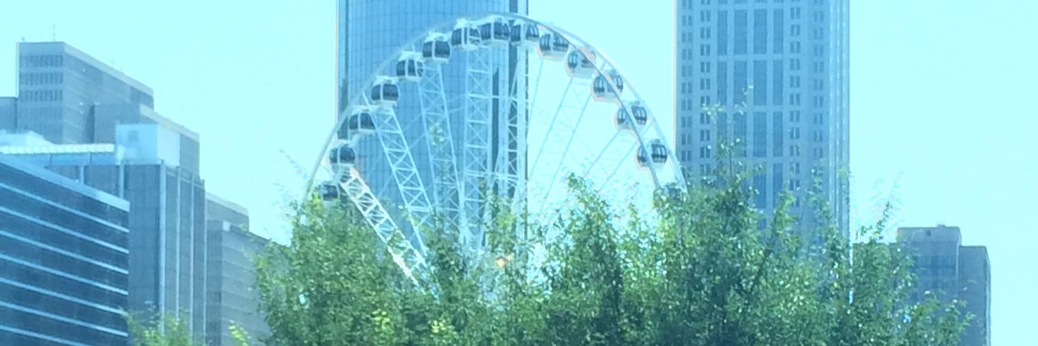 treemaire's profile banner image